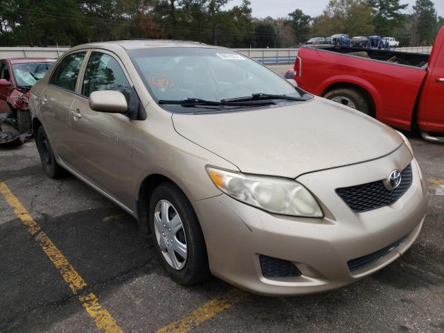 Toyota Corolla ba (2010)
