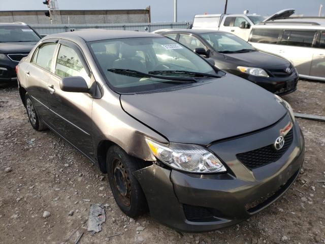 Toyota Corolla ba (2010)