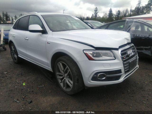 Audi Sq5 (2015)