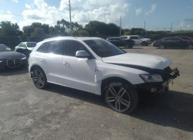 Audi Sq5 (2015)