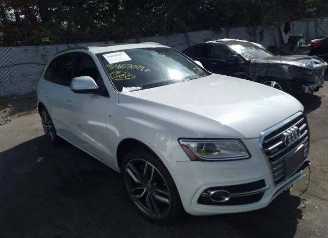 Audi Sq5 (2014)
