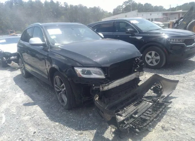 Audi Sq5 (2014)