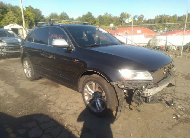 Audi Sq5 (2014)