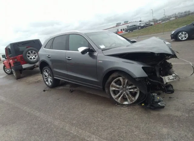 Audi Sq5 (2016)