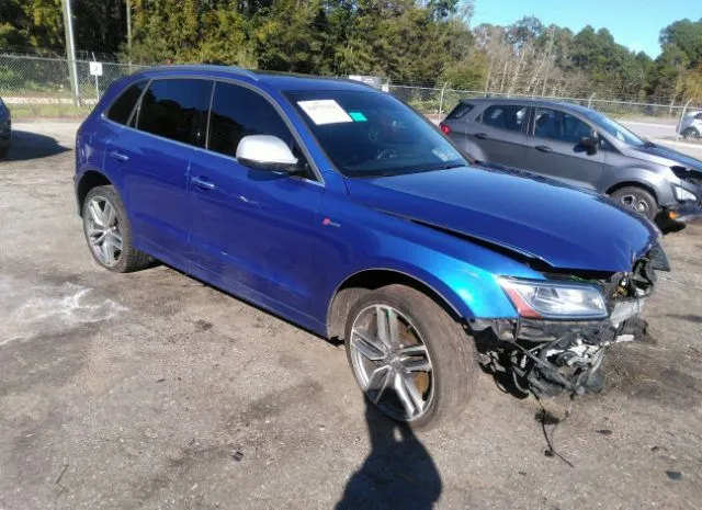 Audi Sq5 (2016)