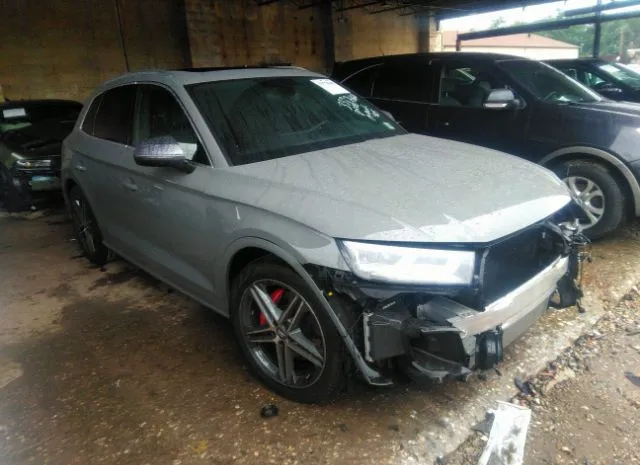 Audi Sq5 (2019)