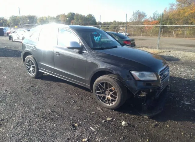 Audi Sq5 (2014)