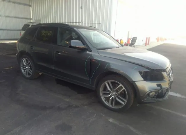 Audi Sq5 (2015)