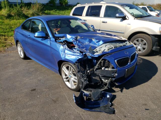 Bmw 228 xi sul (2016)