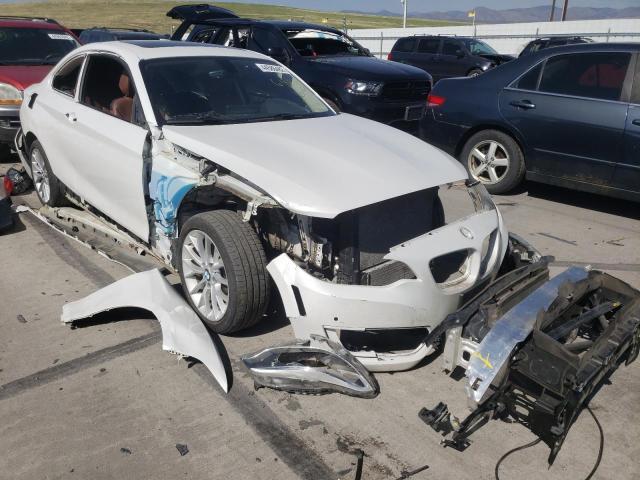 Bmw 228 xi sul (2015)