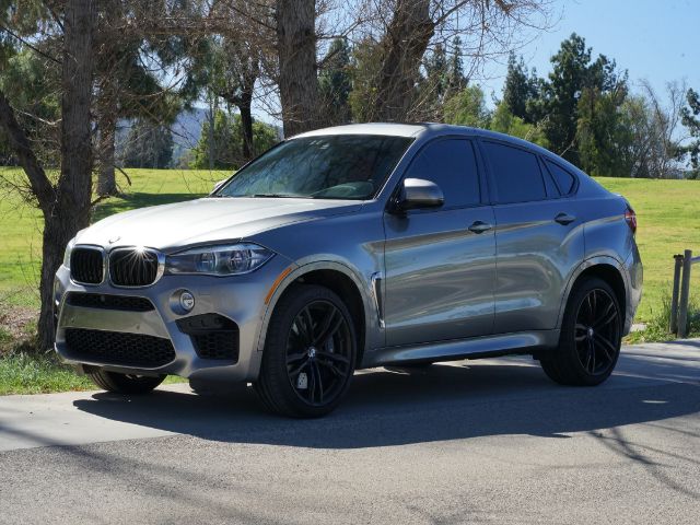 Bmw X6 m (2019)
