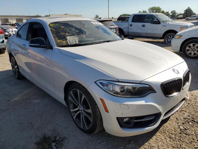 Bmw 228 xi sul (2015)