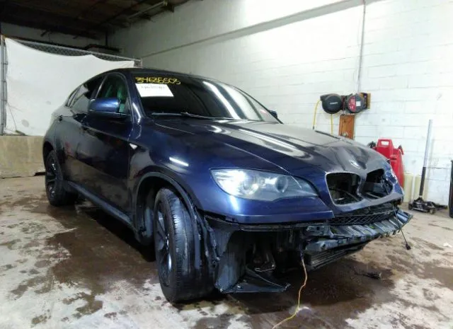 Bmw X6 (2010)