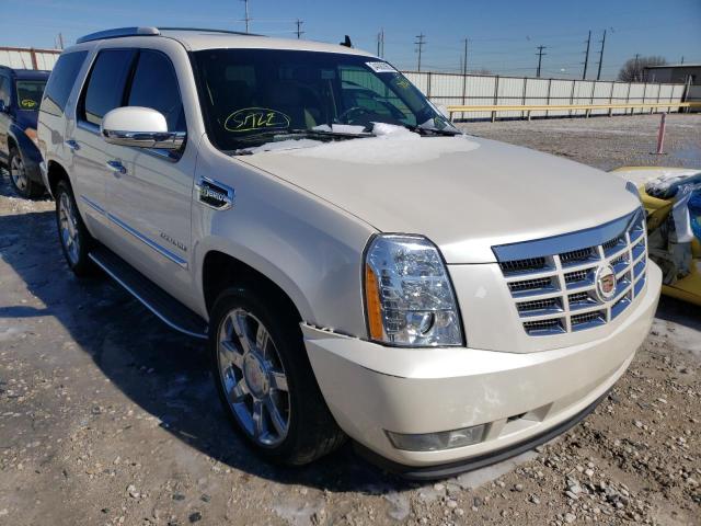 Cadillac Escalade h (2010)