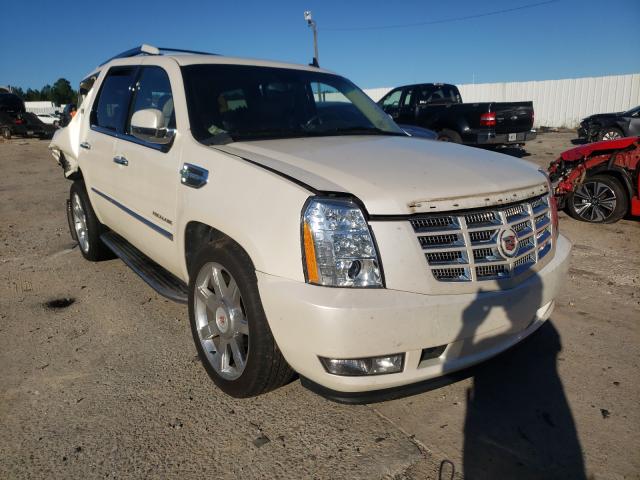 Cadillac Escalade h (2013)
