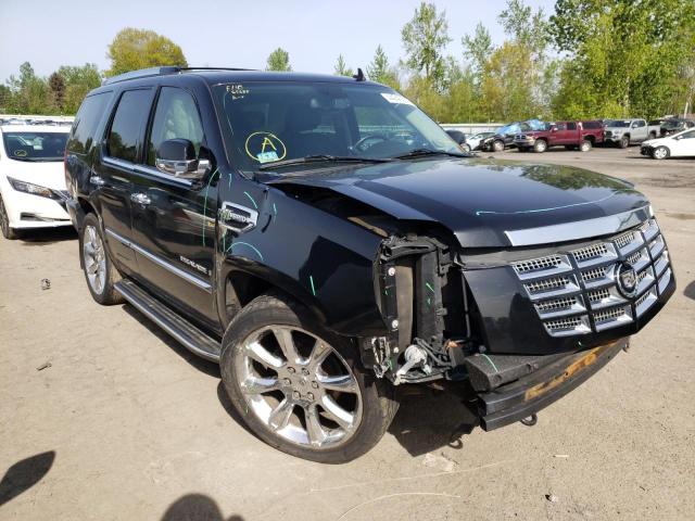 Cadillac Escalade h (2009)