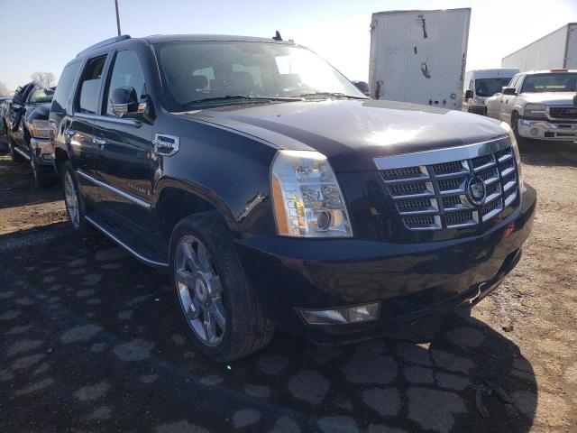 Cadillac Escalade h (2009)