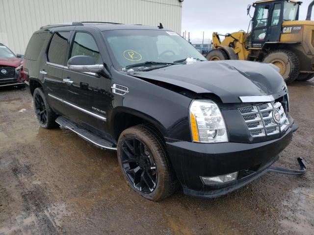 Cadillac Escalade l (2010)
