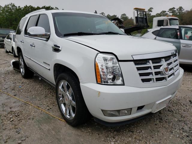 Cadillac Escalade h (2013)