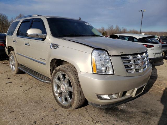 Cadillac Escalade l (2014)