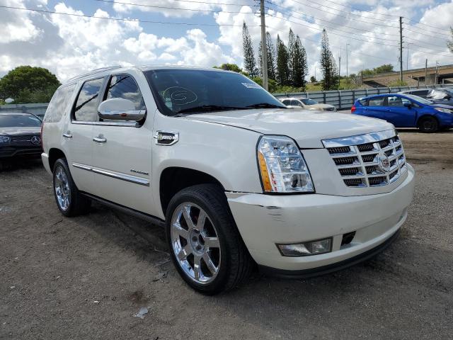 Cadillac Escalade h (2010)