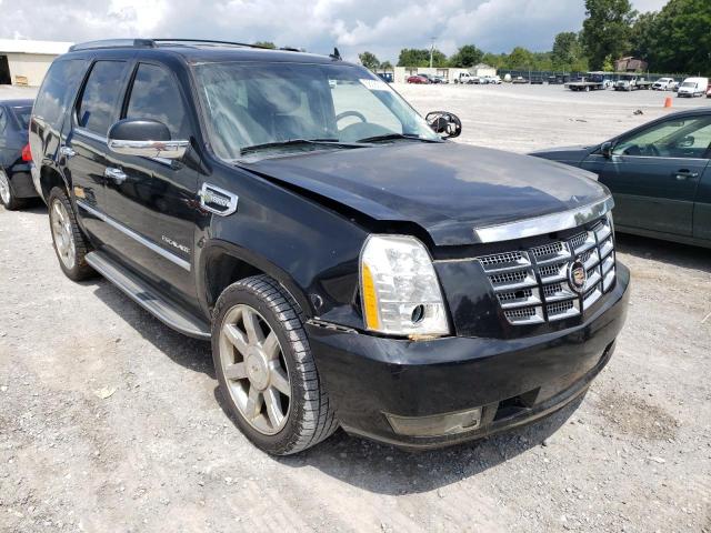 Cadillac Escalade h (2011)