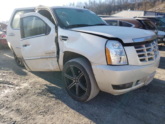 Cadillac Escalade p (2011)