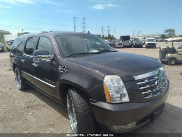 Cadillac Escalade esv (2011)
