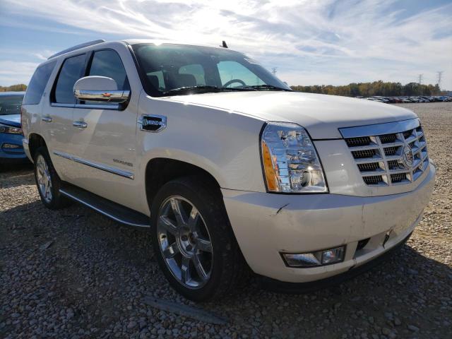 Cadillac Escalade h (2013)