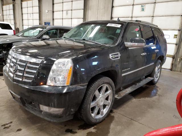 Cadillac Escalade h (2010)