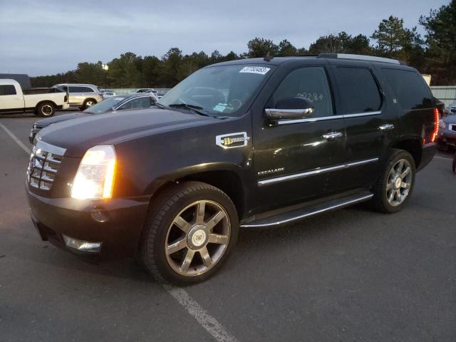 Cadillac Escalade h (2012)