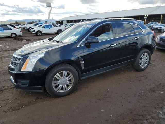 Cadillac Srx luxury (2010)