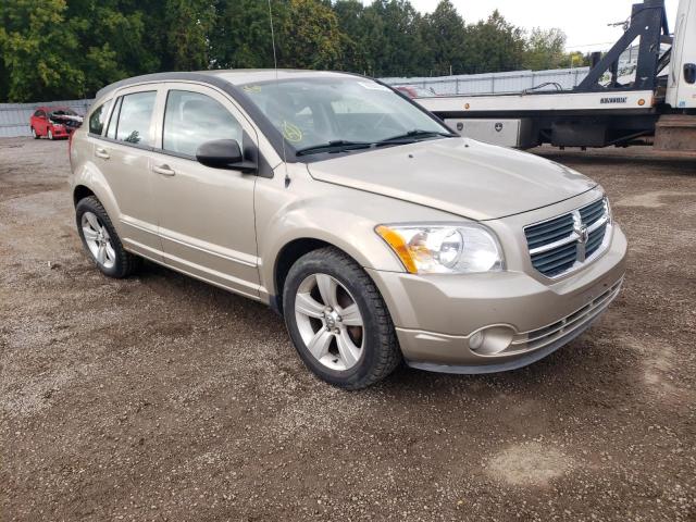Dodge Caliber sx (2010)