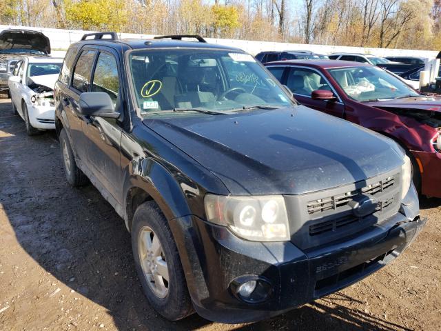Ford Escape xlt (2010)
