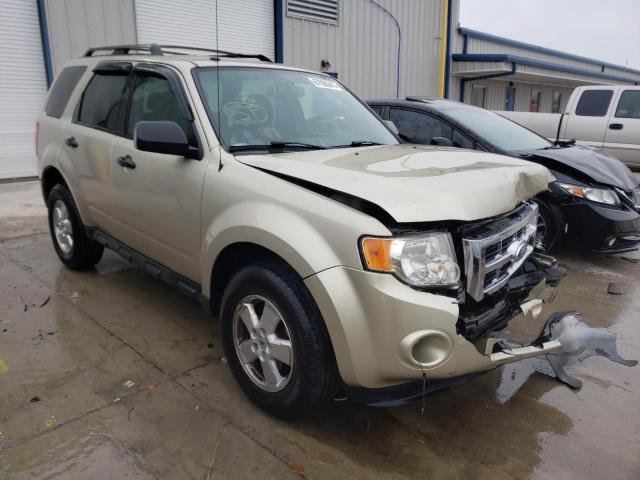 Ford Escape xlt (2011)