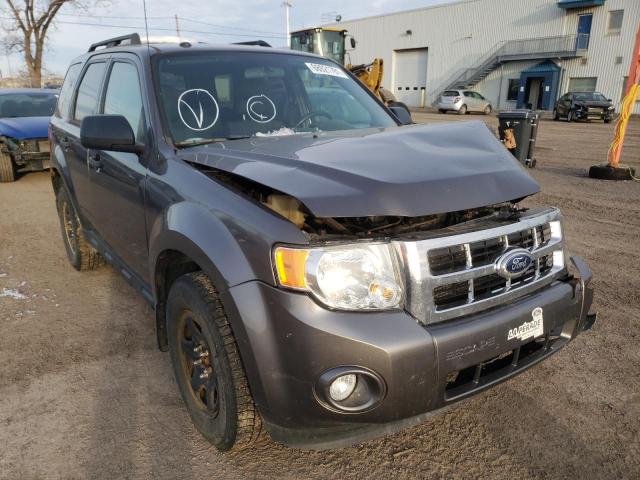 Ford Escape xlt (2011)
