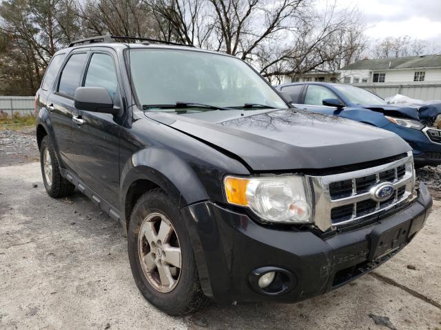 Ford Escape xlt (2011)