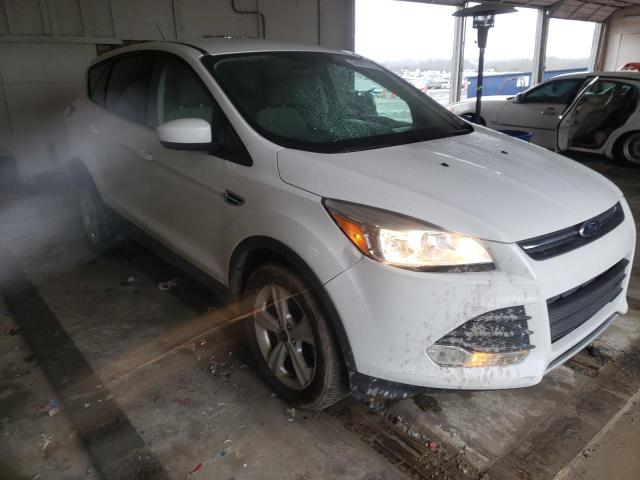 Ford Escape (2015)