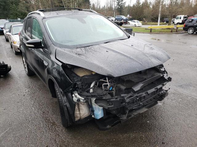 Ford Escape tit (2014)