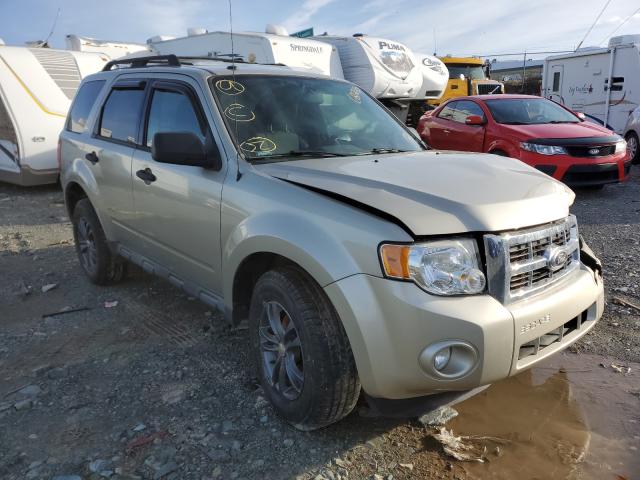 Ford Escape xlt (2010)