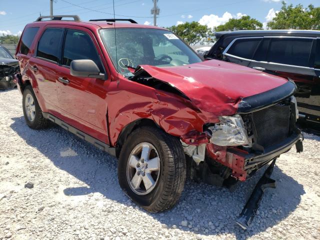 Ford Escape xlt (2011)