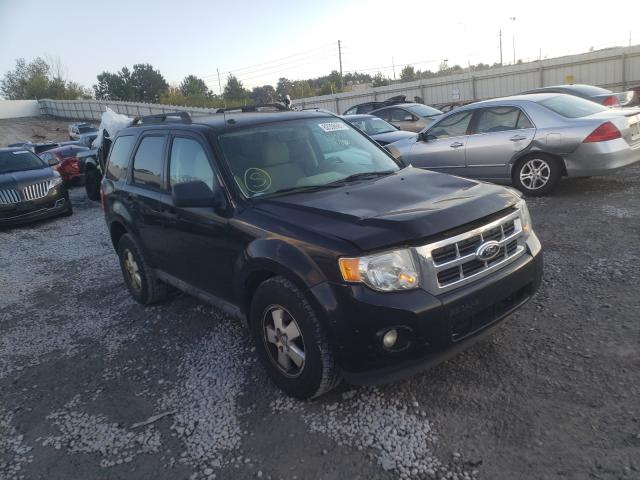 Ford Escape xlt (2011)