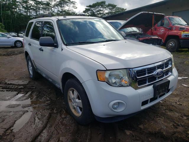 Ford Escape xlt (2011)