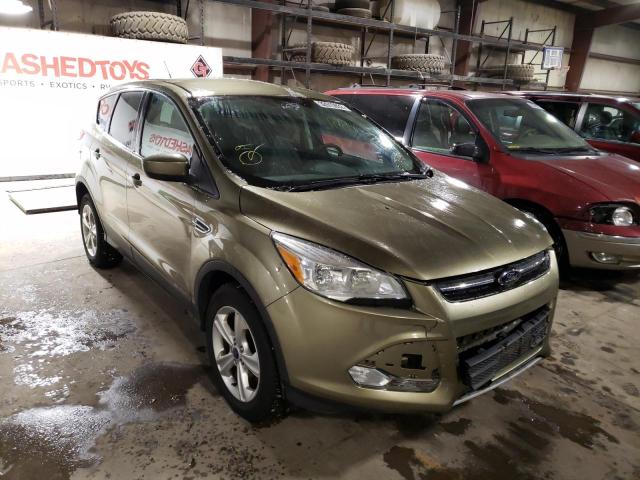Ford Escape se (2013)