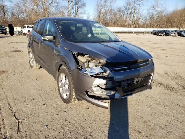Ford Escape sel (2013)
