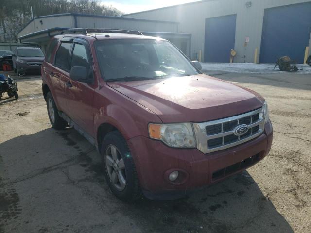 Ford Escape (2010)