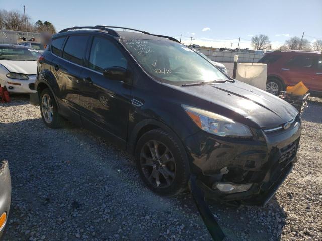 Ford Escape xlt (2013)