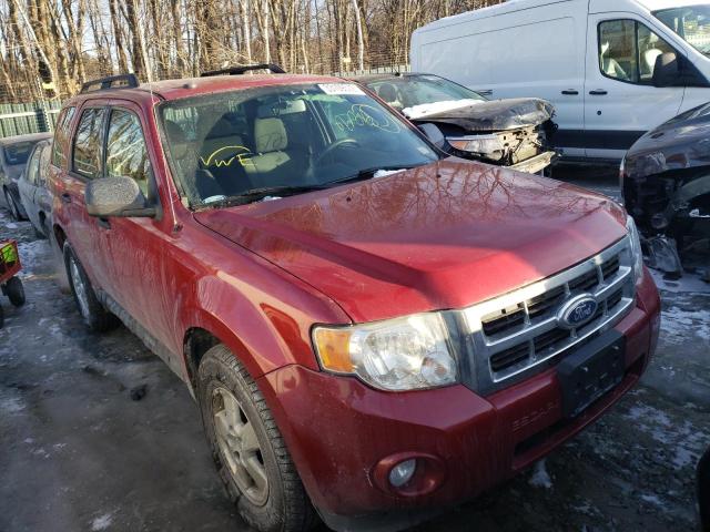 Ford Escape xlt (2010)