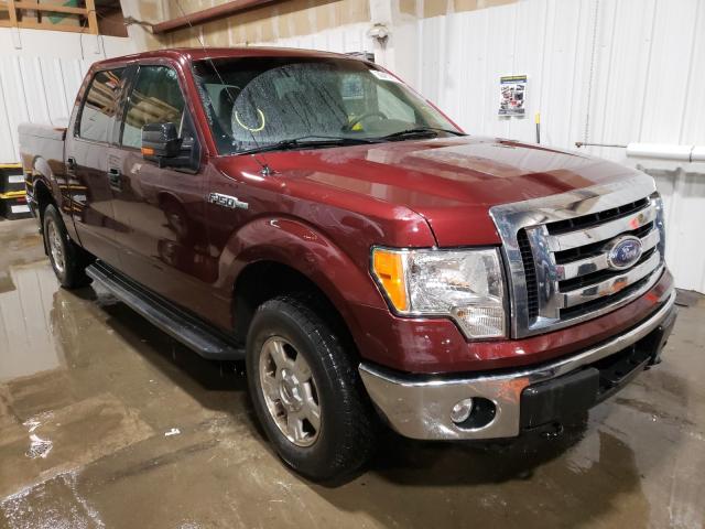 Ford F150 xlt (2010)