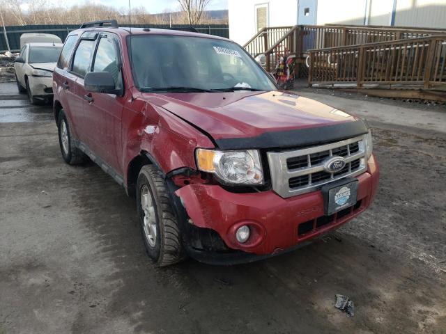 Ford Escape xlt (2011)
